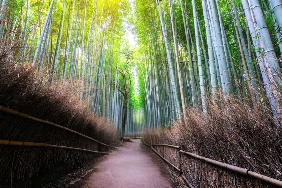 Kyoto, Japan — History & Nature