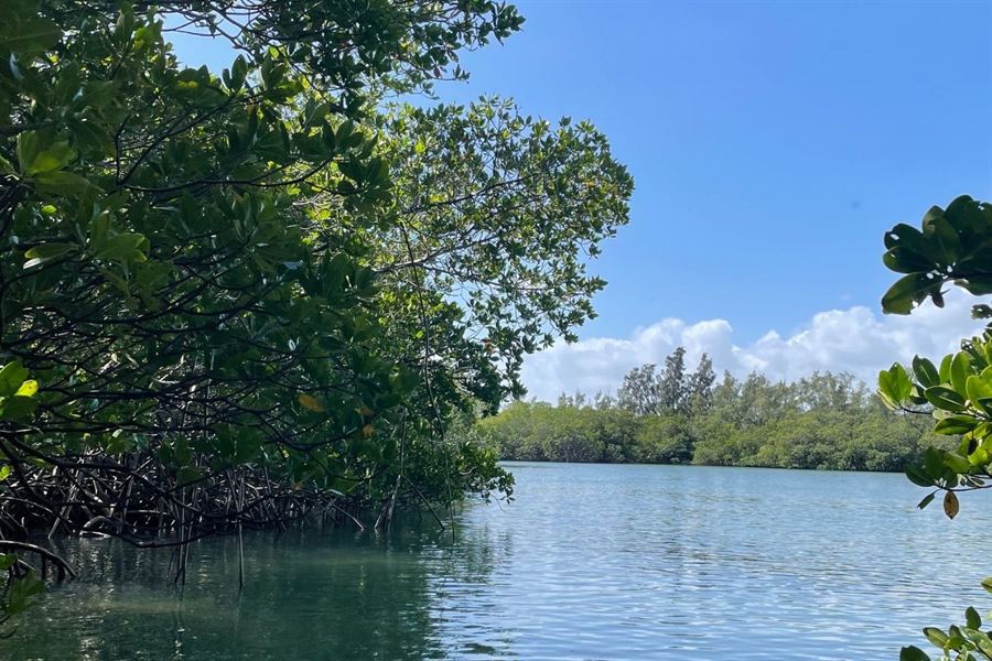 Treasure Coast, Florida — Sun & Coast